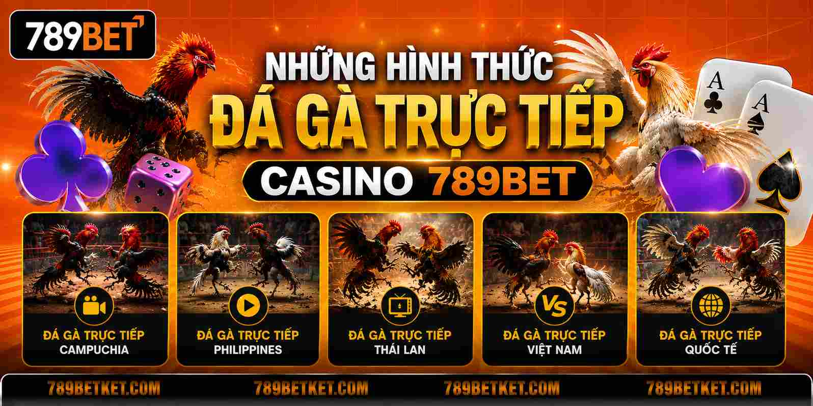 Hình thức đá gà trực tiếp tại casino 789BET