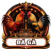 đá gà 789bet